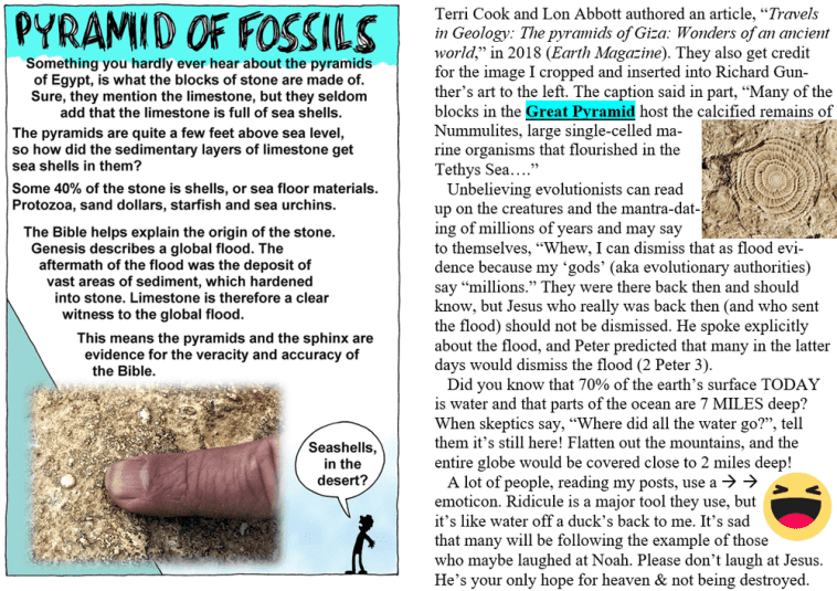 Pyramid fossils meme