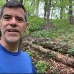 What can an Old Log Tell Us still