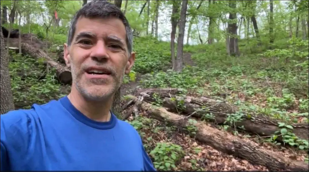 What can an Old Log Tell Us still