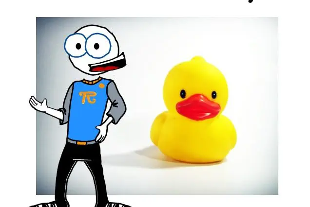 The Socratic Ducky eBook cover art