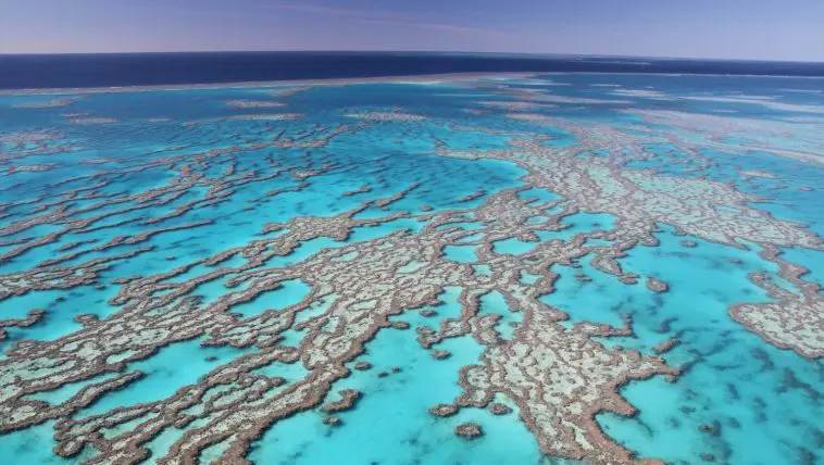 Great Barrier Reef from above: Photo 37695362 © Imagemakera1 | Dreamstime.com