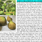 Fig-evidence-Paul-Humber-meme