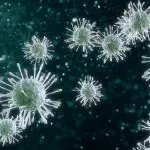 Influenza viruses: Photo 142396986 © Igor Zakharevich | Dreamstime.com