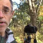 Path of Life video still