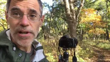 Path of Life video still