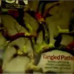 Dr. J Species, Kinds, and genetics video still