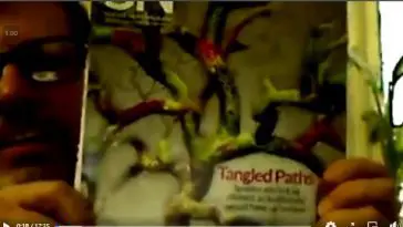 Dr. J Species, Kinds, and genetics video still