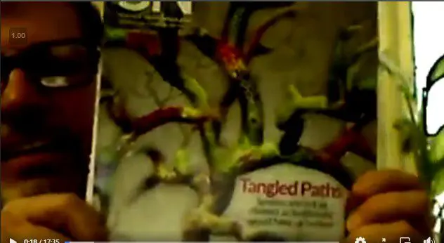 Dr. J Species, Kinds, and genetics video still