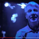 Jellyfish eyes, Bruce Malone YouTube still