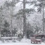 Snowy woods and outdoor future: Photo 108976124 © William Wise | Dreamstime.com