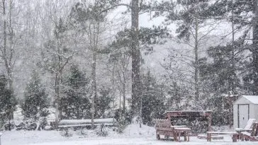 Snowy woods and outdoor future: Photo 108976124 © William Wise | Dreamstime.com