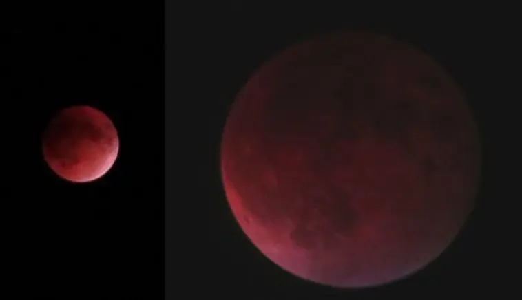 Lunar eclipse photos from Mrs. Wile