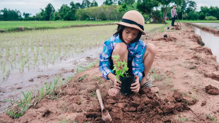Child preparing to plant a tree in Southeast Asia: Photo 228738028 / Farm Kids © Ritthichai Wisetchat | Dreamstime.com