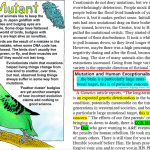 Budgie mutation meme