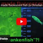 Frankenfish YouTube still