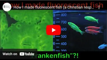 Frankenfish YouTube still