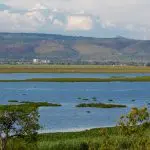 Lake Victoria in the region near where the stone tools were found: Photo 116038519 © Yuliia Yurasova | Dreamstime.com
