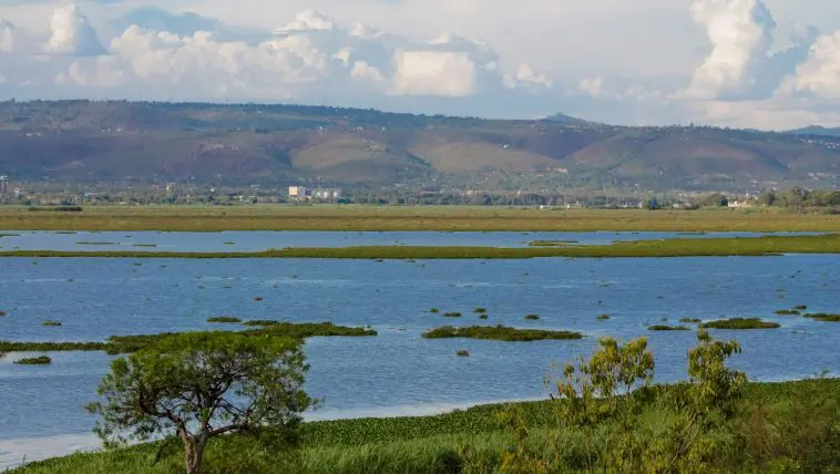 Lake Victoria in the region near where the stone tools were found: Photo 116038519 © Yuliia Yurasova | Dreamstime.com