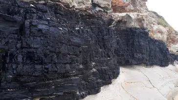 Coal seam Newcastle Australia: Photo 114438374 © Barbieboy00747 | Dreamstime.com