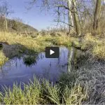 A New Thing video still