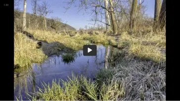 A New Thing video still