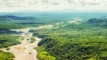 Pastaza River Amazon Rainforest arial view: Photo 61381397 © Ammit | Dreamstime.com