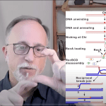 DNA Repair video still