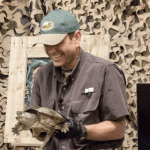 Snapping turtle video still