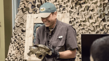 Snapping turtle video still