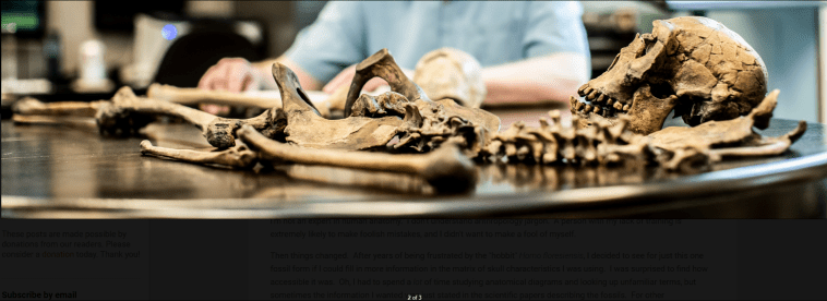 Todd Wood studying a skeleton laid out on a table