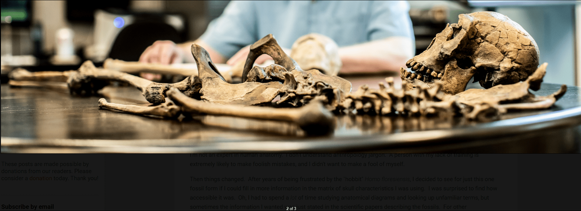 Todd Wood studying a skeleton laid out on a table