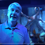 Octopus camo YouTube still