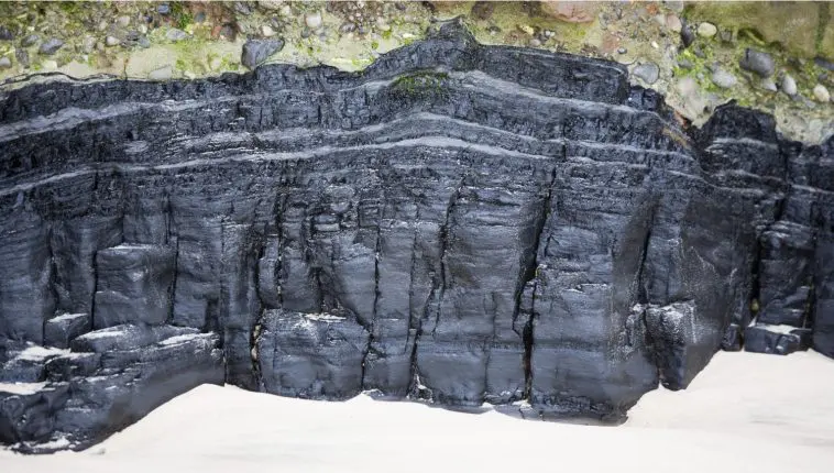 Photo 172451193 © Mark Higgins | Dreamstime.com