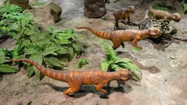 Photo 54286907 | Psittacosaurus Dinosaur © Woravit Vijitpanya | Dreamstime.com