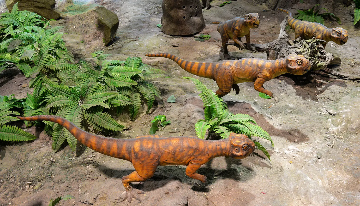 Photo 54286907 | Psittacosaurus Dinosaur © Woravit Vijitpanya | Dreamstime.com