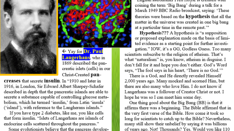 Our pancreas and the Big Bang meme