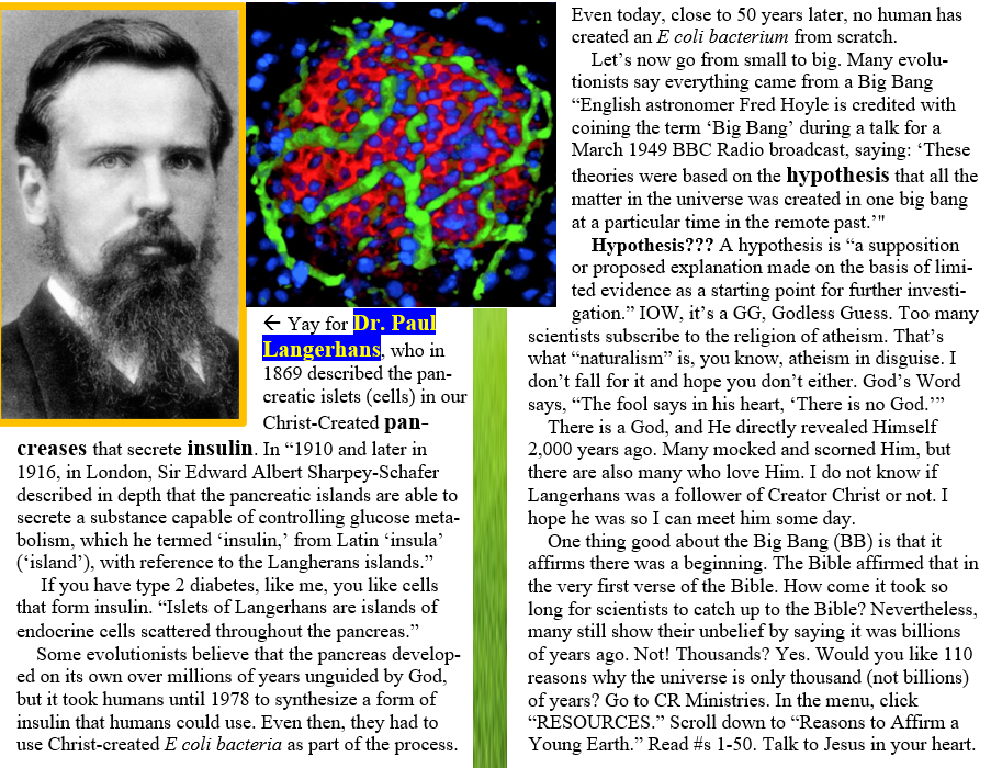 Our pancreas and the Big Bang meme