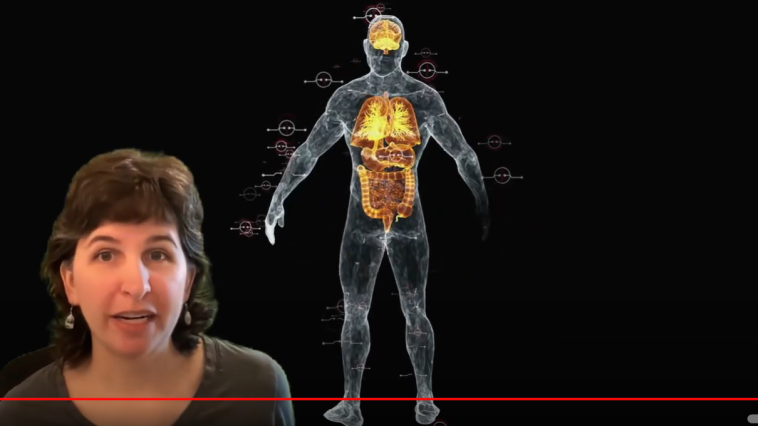 Math and the Human Body YouTube still