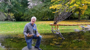 Wings-Wonder-Bruce-Malone-still