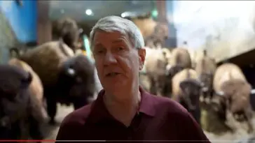 Decoding fossilization video still