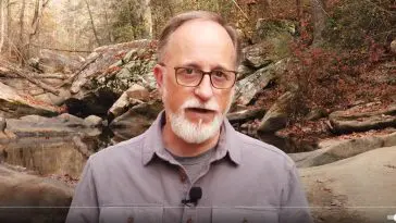 Cichlid speciation video still