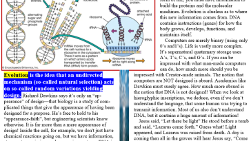 Definition of Evolution meme