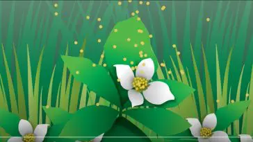 Pollen genius video still