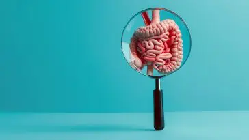 Illustration of human intestines: ID 318494964 | Background © Quantwarrior | Dreamstime.com