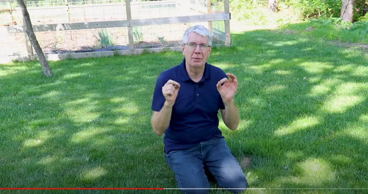 The Shy Mimosa Plant video still