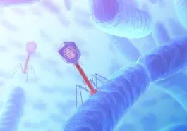 Bacteriophage virus: ID 21194646 | Bacteriophage © Kts | Dreamstime.com