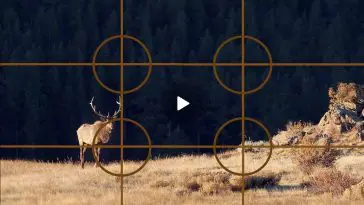 Rule of Thirds video still