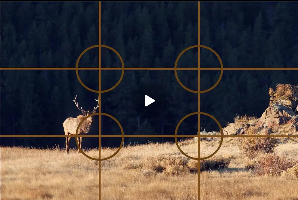 Rule of Thirds video still