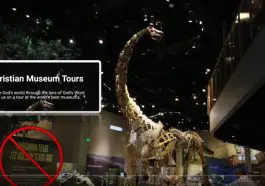 Museum tour video still