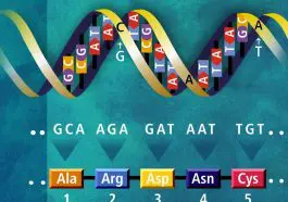 DNA translation illustration, photo credit: US Dept. of Energy